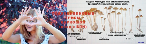 амфетамин Тобольск