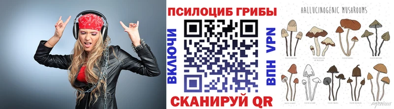 Купить закладки  Почеп  Галлюциногенные грибы Cubensis 