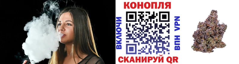 Купить закладки Почеп Канабис SATIVA & INDICA